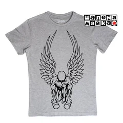 Crossfit, крылья, ангел